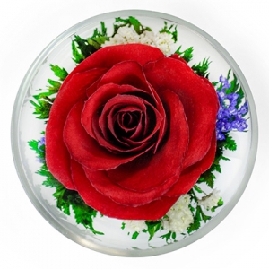 Красная роза в стекле - Nices Red Rose