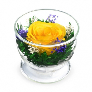 Желтая роза в стекле - El Rossy