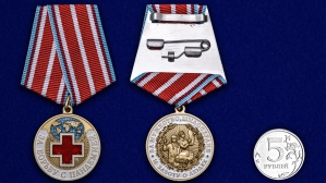 Медаль За борьбу с пандемией (подарочный вариант)